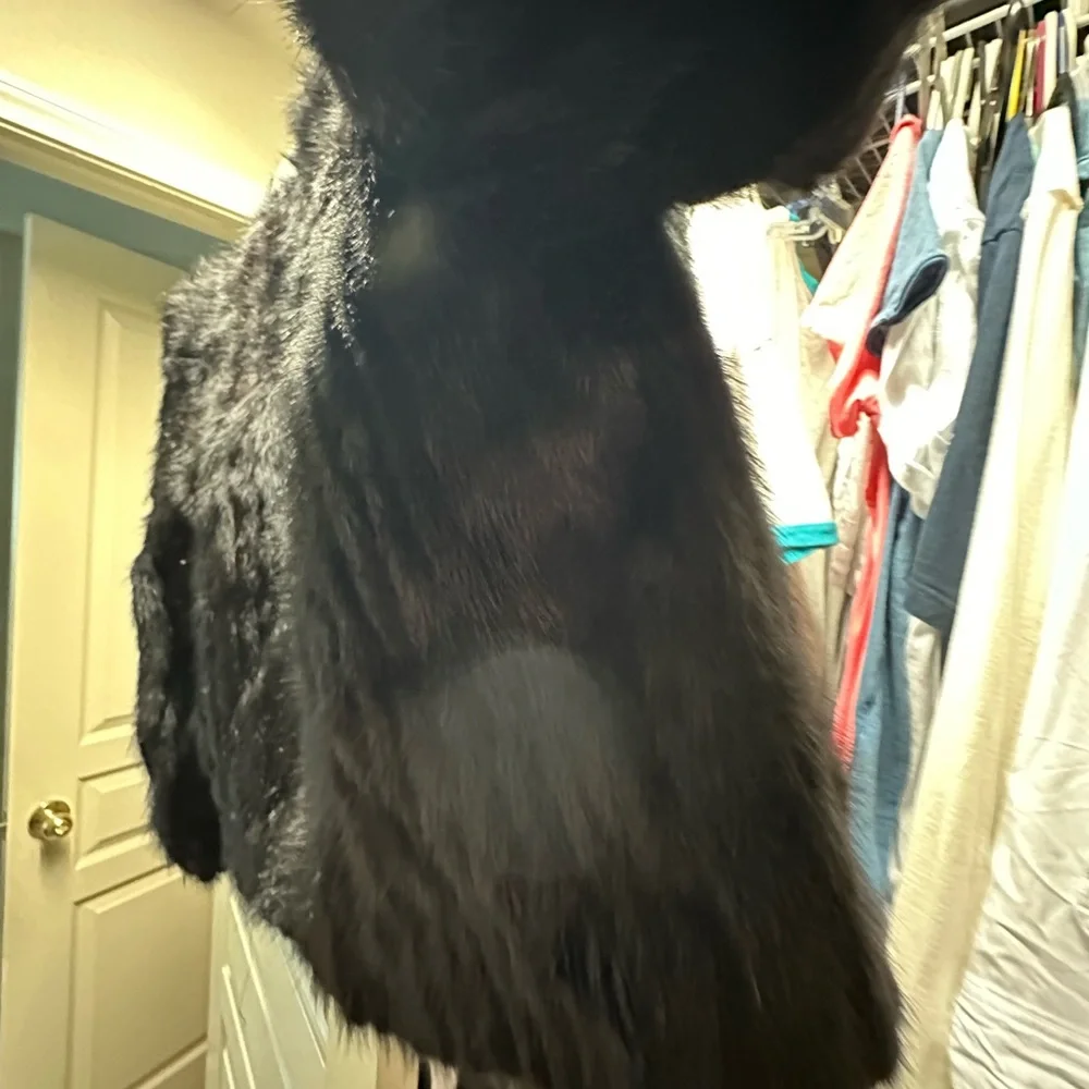 Saga Furs Black Mink Fur Coat - Picture 10 of 16